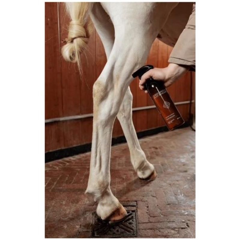 Grooming Deluxe Green Spot & Dust remover