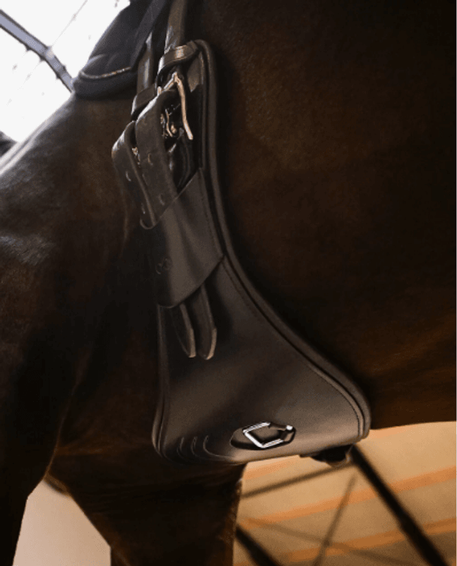 PresTeq PerformeFree dressur gjord