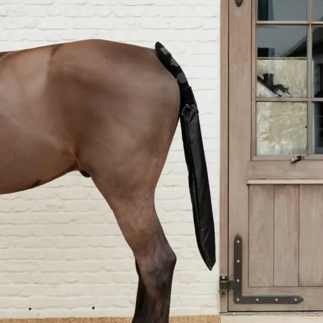 Hovedbilde Kentucky Tailguard