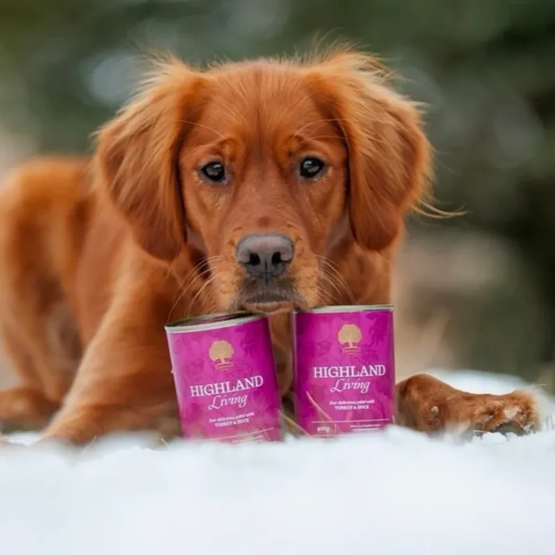 Essential Highland Living Pâtè 400g